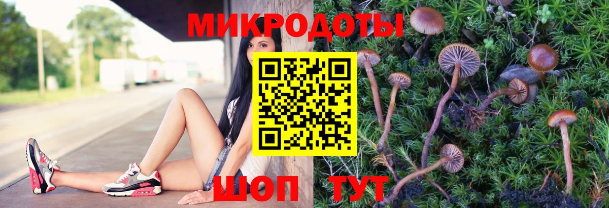 Псилоцибиновые грибы GOLDEN TEACHER Тверь
